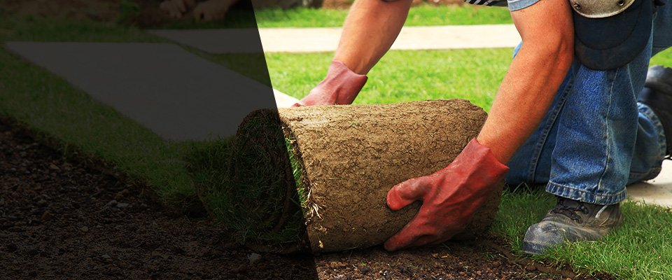 Coxsackie Landscapers